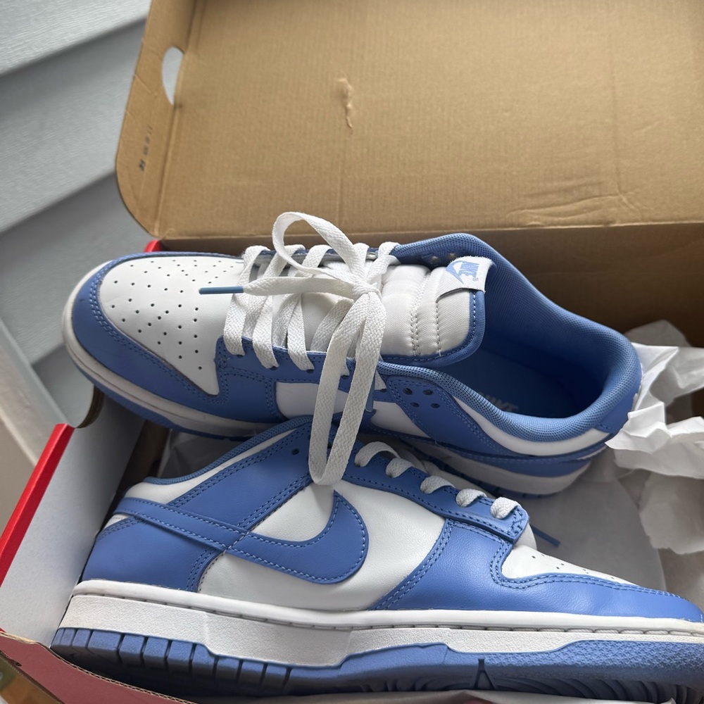Blue and White Nike Dunks